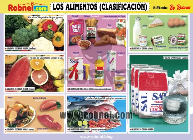 Los Alimentos Clasificacion